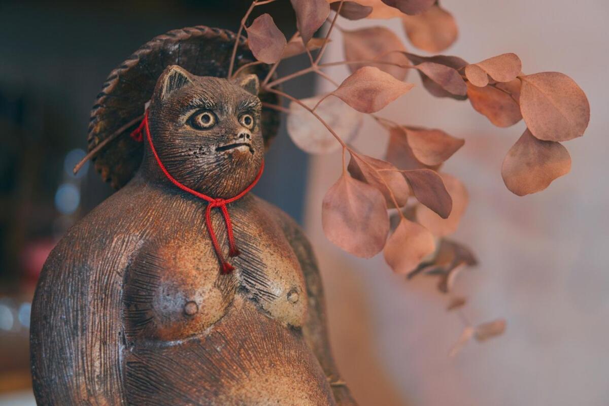 טוקונאמה 宿たぬきのねどこ Guesthouse Tanuki מראה חיצוני תמונה